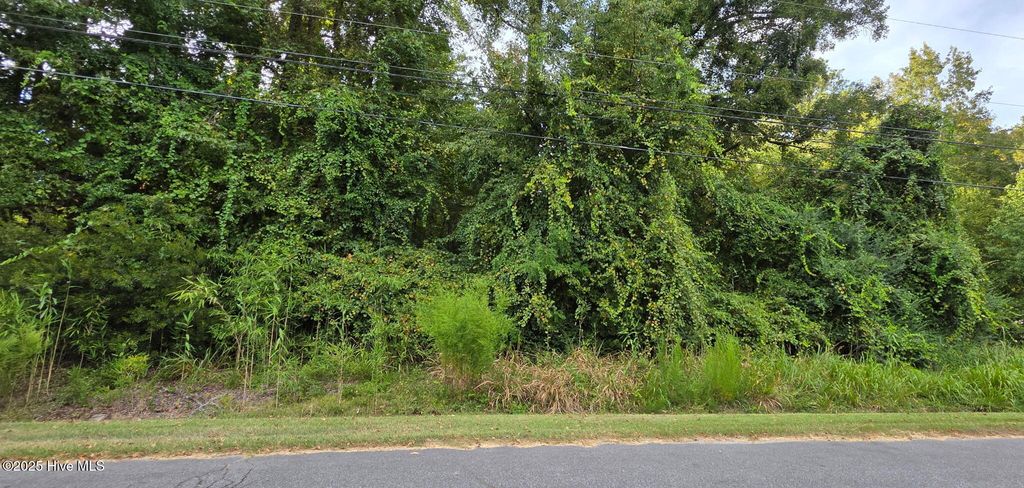 Photo of 0 Fairway Drive, Grifton, NC 28530 (MLS # 100530209)