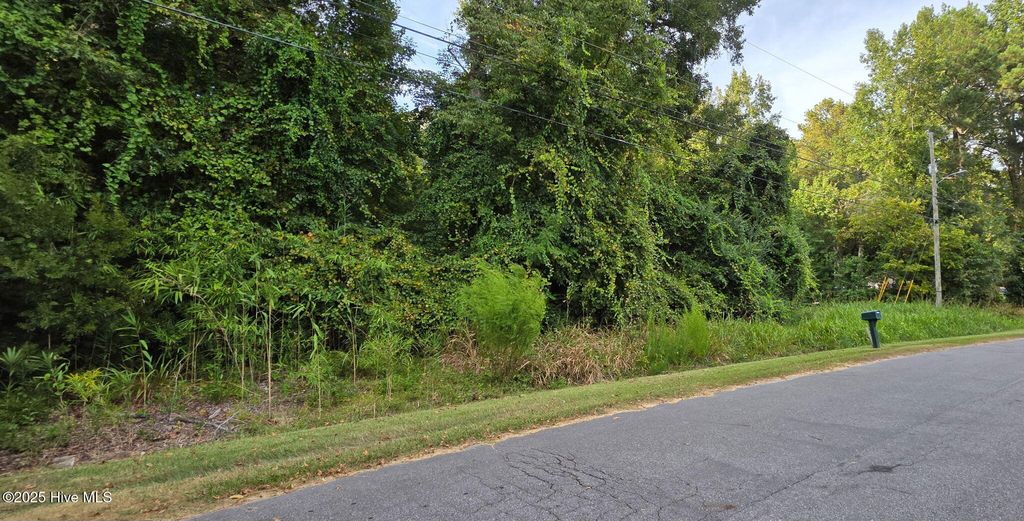 Photo of 0 Fairway Drive, Grifton, NC 28530 (MLS # 100530209)