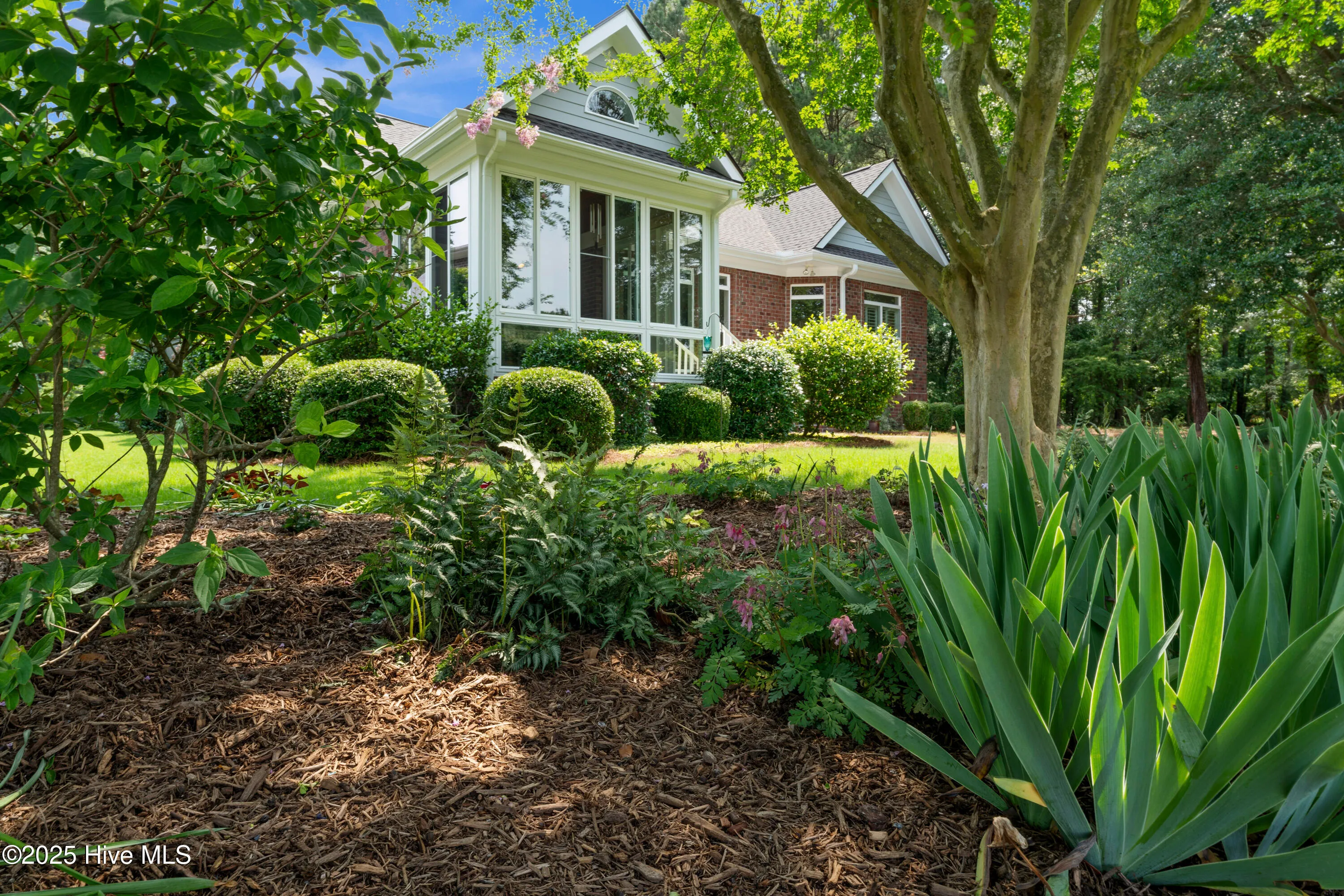 Wallace, North Carolina 28466, United States, 3 Bedrooms Bedrooms, ,3 BathroomsBathrooms,Residential,Active,146565