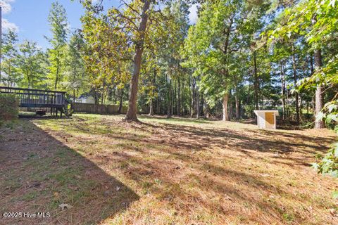 Tiny photo for 1320 Sloop Point Road, Hampstead, NC 28443 (MLS # 100535118)