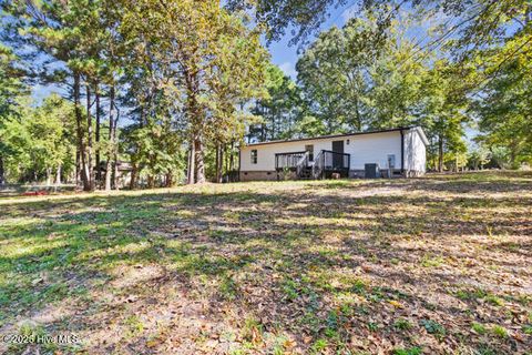 Tiny photo for 1320 Sloop Point Road, Hampstead, NC 28443 (MLS # 100535118)
