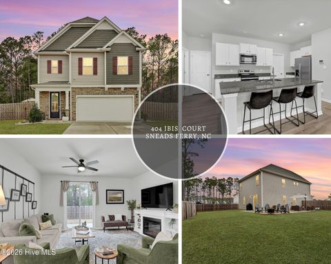 404 Ibis Court Sneads Ferry NC 28460