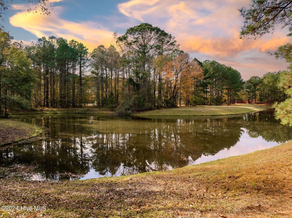 Photo of 111 Loblolly Court, Wallace, NC 28466 (MLS # 100478444)