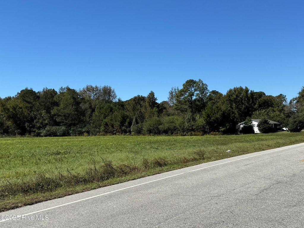 Photo of 428 Bonnetsville Road, Clinton, NC 28328 (MLS # 100537054)