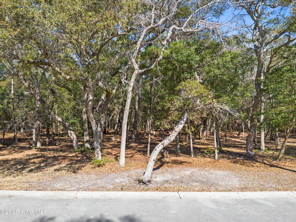Photo of 736 Beaufain Street SW, Supply, NC 28462 (MLS # 100490153)