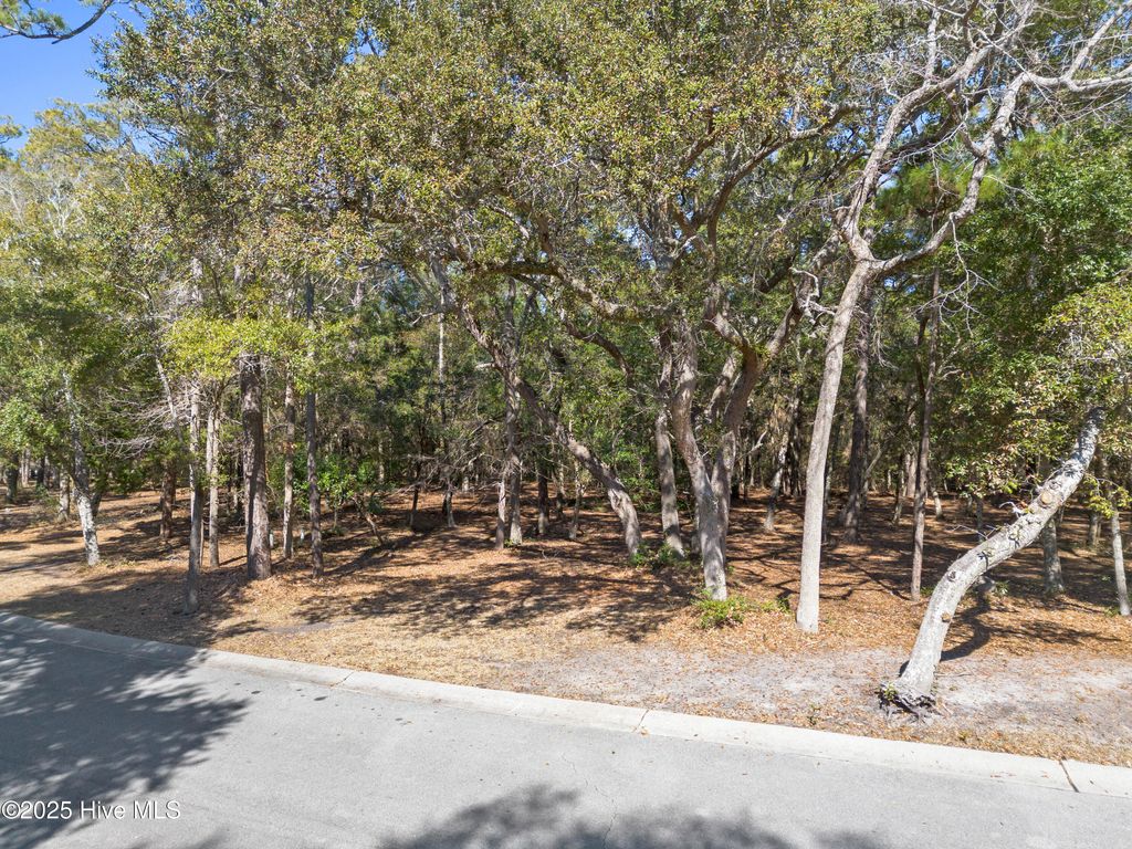 Photo of 736 Beaufain Street SW, Supply, NC 28462 (MLS # 100490153)