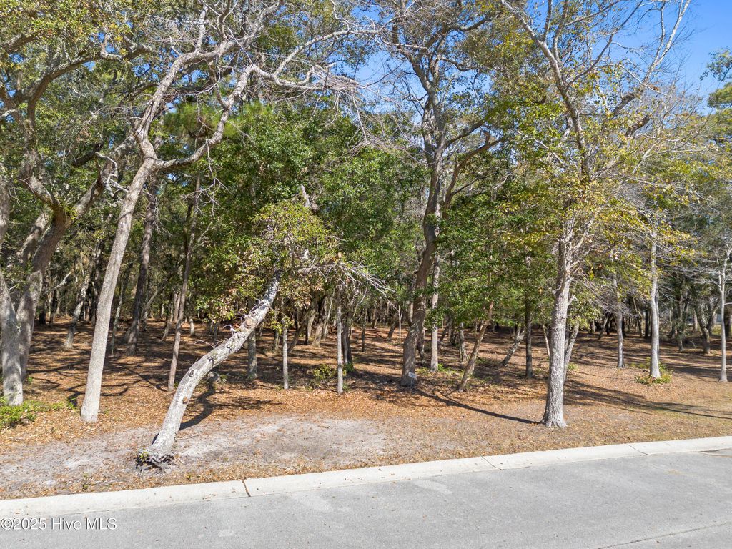 Photo of 736 Beaufain Street SW, Supply, NC 28462 (MLS # 100490153)