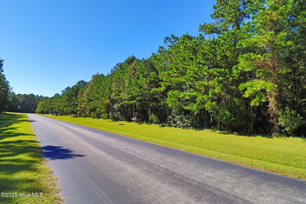 Photo of 229 Garbacon Drive, Beaufort, NC 28516 (MLS # 100538657)