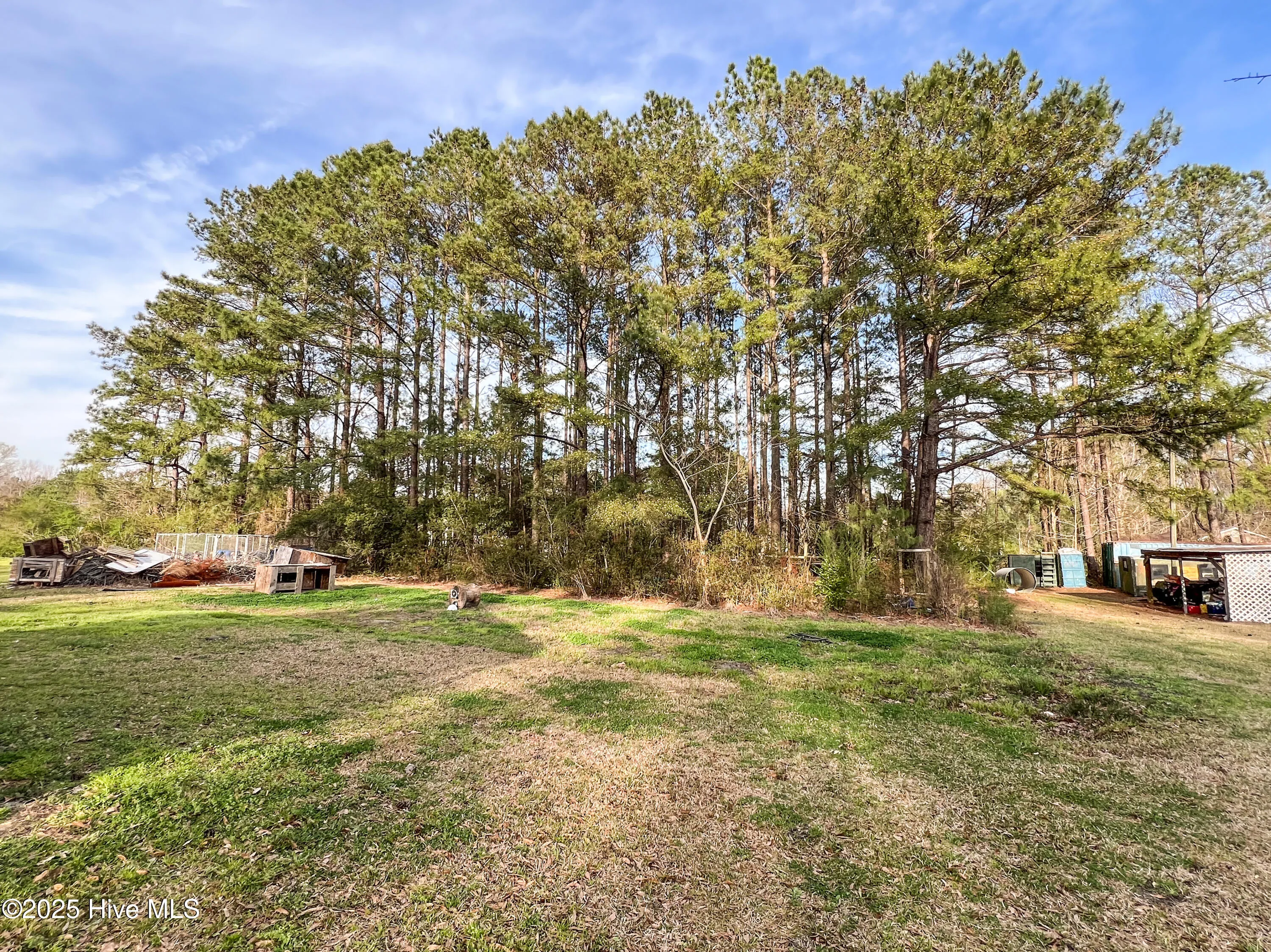 Burgaw, North Carolina 28425, United States, 2 Bedrooms Bedrooms, ,1 BathroomBathrooms,Residential,Active,93704