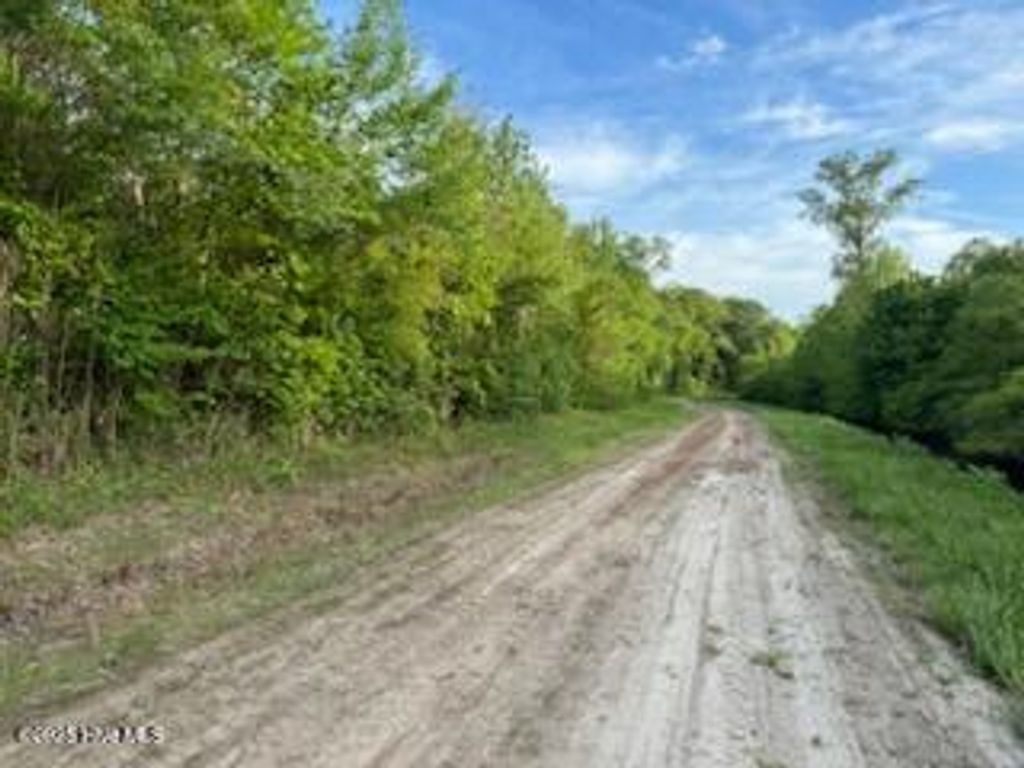 Photo of Lot C South Road, South Mills, NC 27976 (MLS # 100503504)
