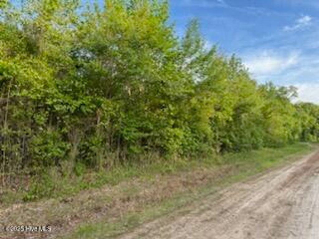 Photo of Lot C South Road, South Mills, NC 27976 (MLS # 100503504)