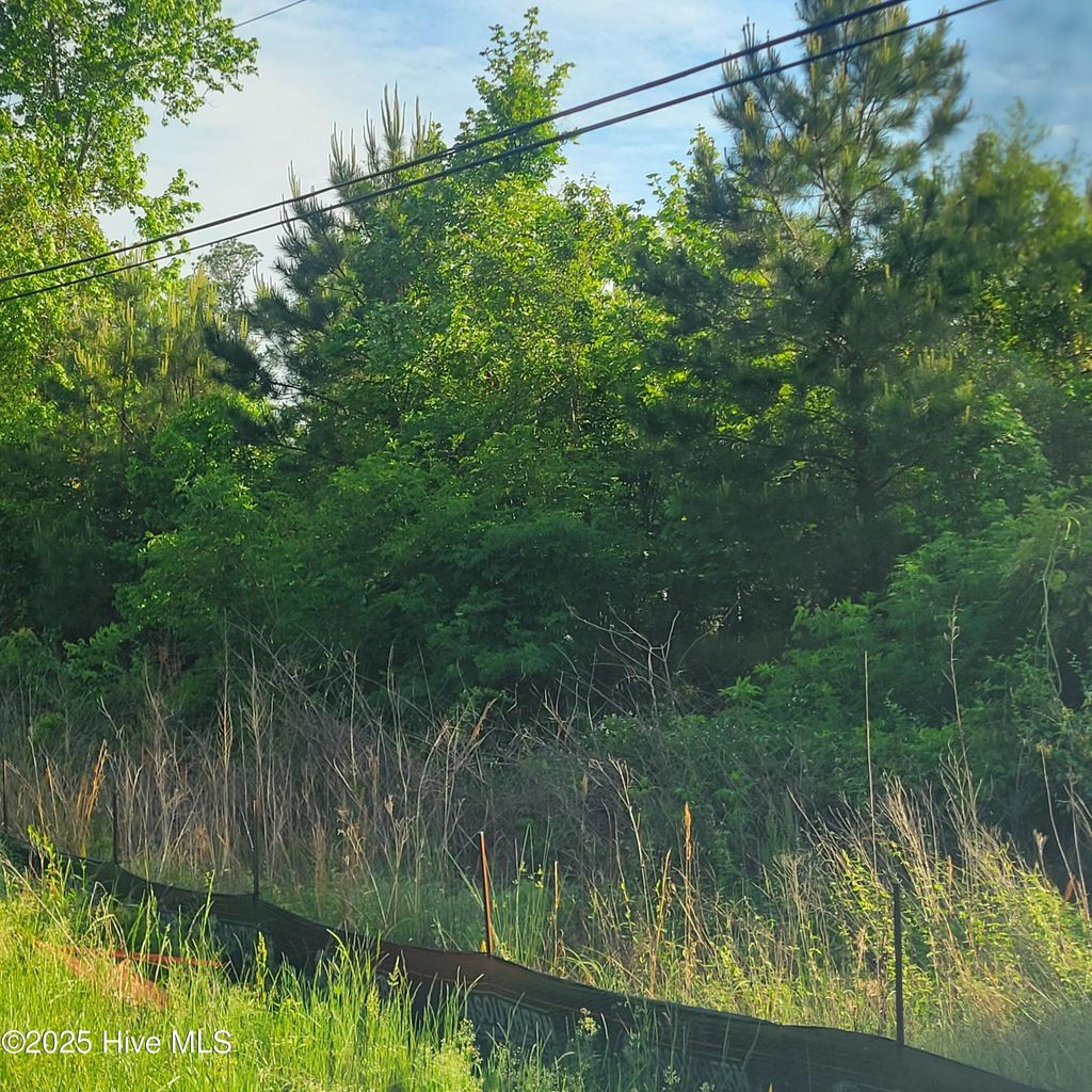 Photo of Lots N Wright Street, Burgaw, NC 28425 (MLS # 100503601)