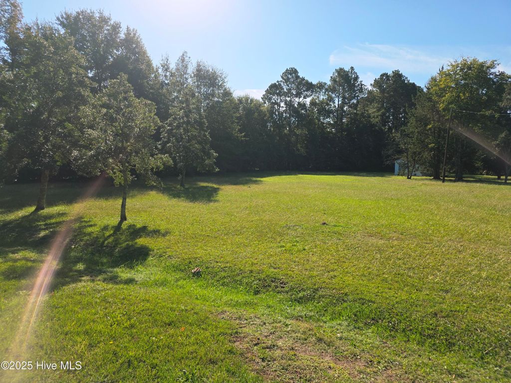 Photo of 205 Bruce Street, Fair Bluff, NC 28439 (MLS # 100535997)