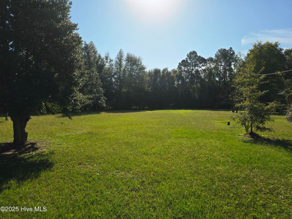 Photo of 205 Bruce Street, Fair Bluff, NC 28439 (MLS # 100535997)