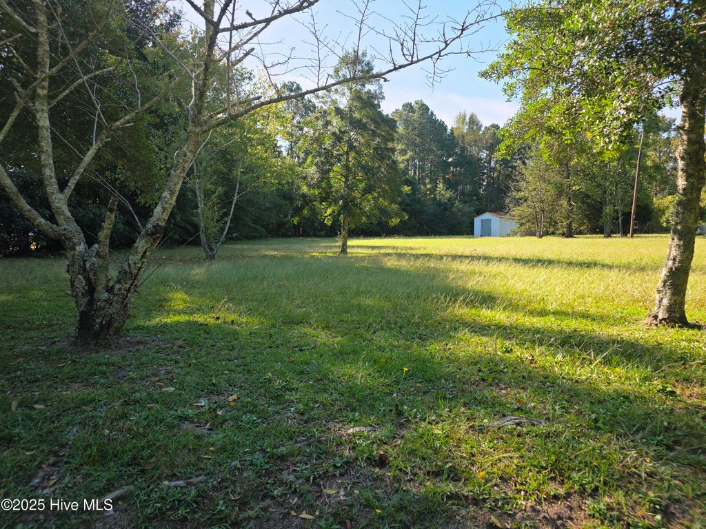 Photo of 205 Bruce Street, Fair Bluff, NC 28439 (MLS # 100535997)