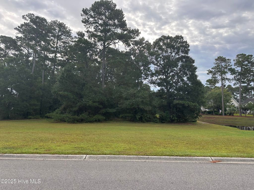 Photo of 1063 Middleton Drive NW, Calabash, NC 28467 (MLS # 100533190)