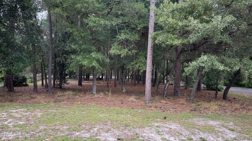 Photo of 3494 Tarpon Court SE, Bolivia, NC 28422 (MLS # 100529917)