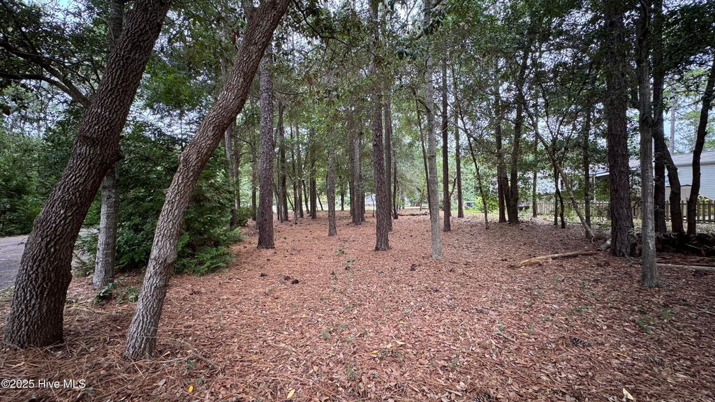 Photo of 3494 Tarpon Court SE, Bolivia, NC 28422 (MLS # 100529917)