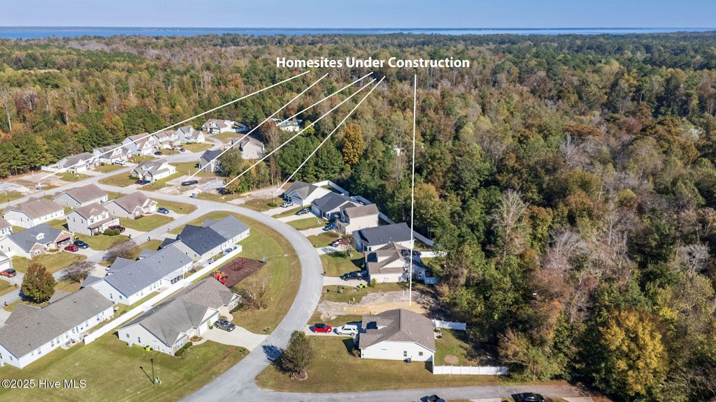 Photo of 445 Peregrine Ridge Drive, New Bern, NC 28560 (MLS # 100541210)