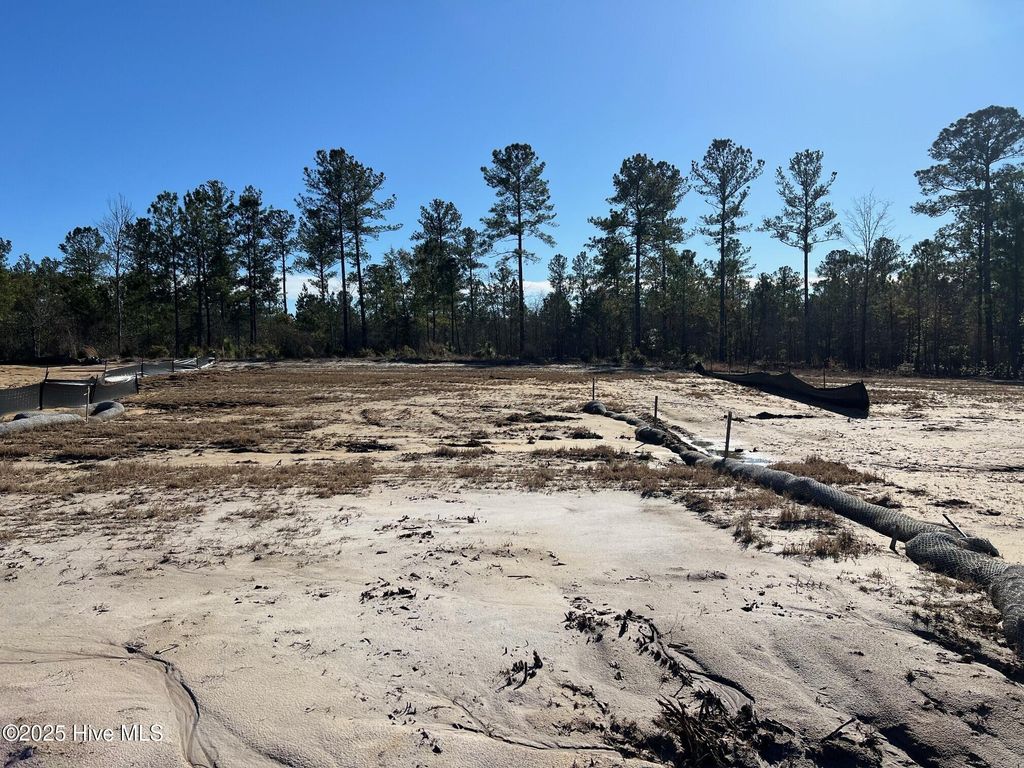 Photo of 2922 W Timber Crest Lane NE, Leland, NC 28451 (MLS # 100497518)