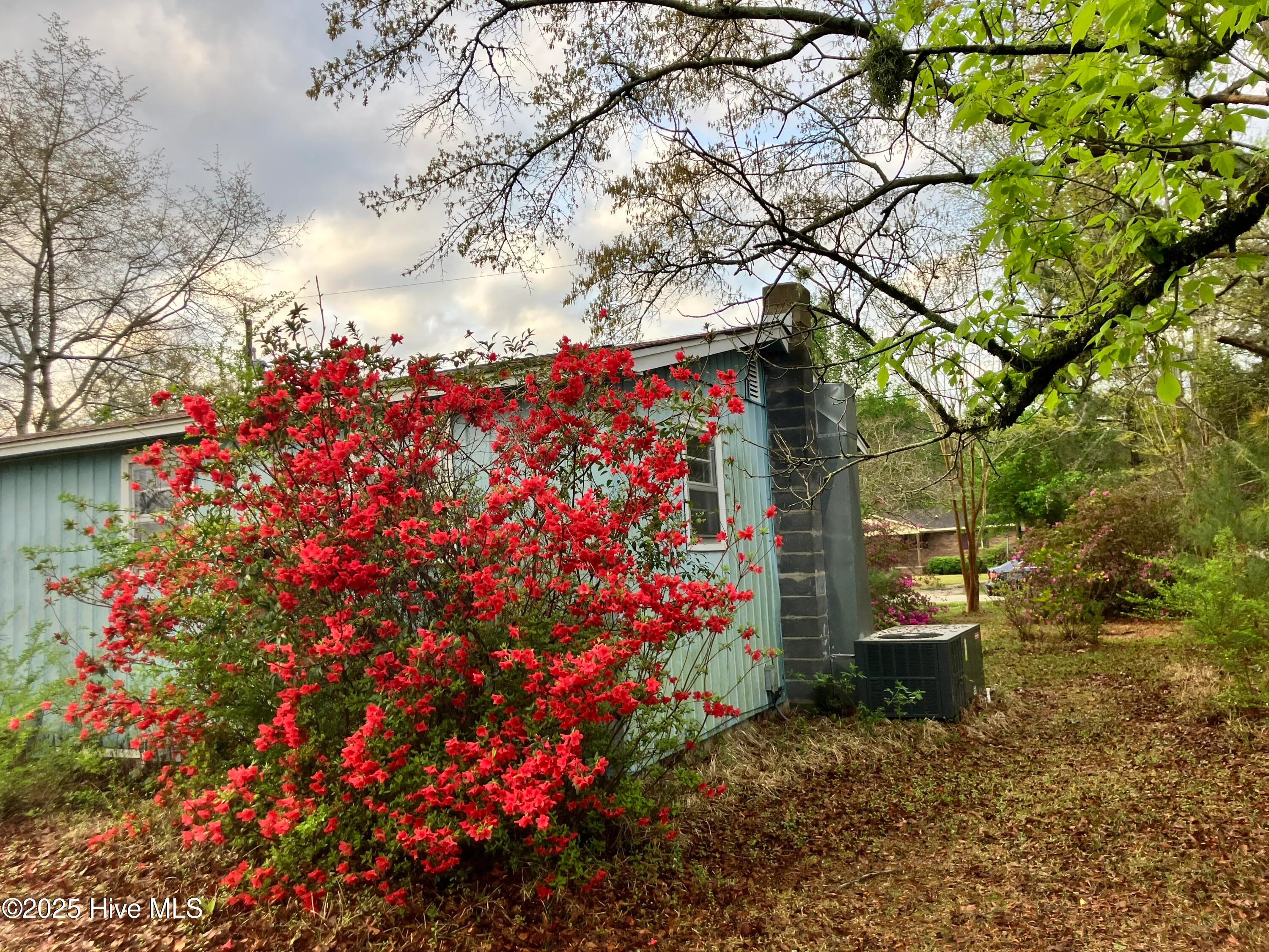 Leland, North Carolina 28451, United States, 3 Bedrooms Bedrooms, ,1 BathroomBathrooms,Residential,Pending,129129