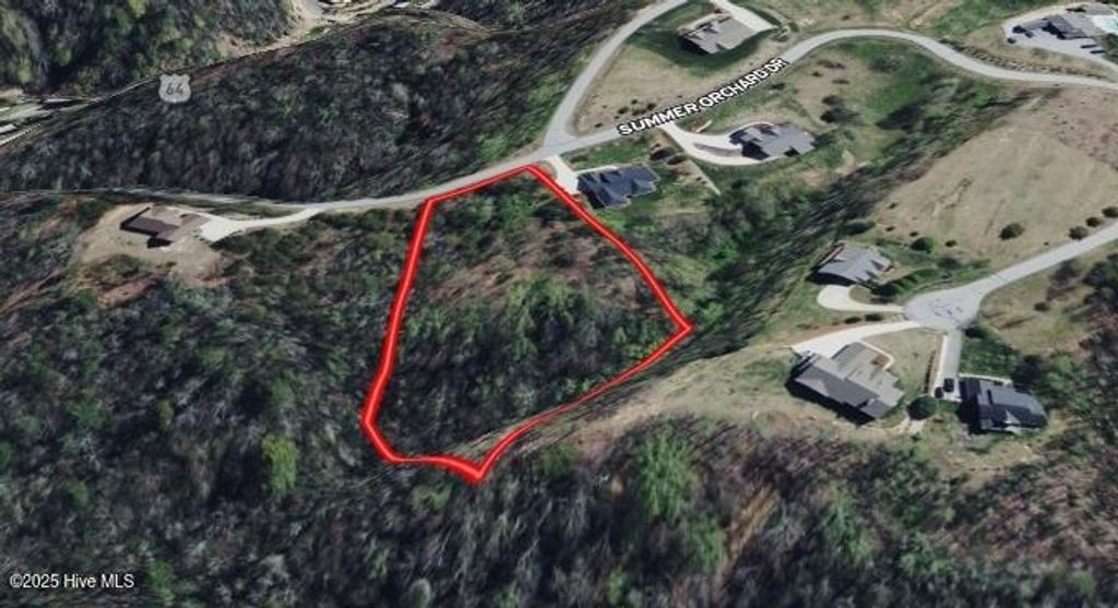 Photo of 374 Summer Orchard Dr Drive, Hendersonville, NC 28792 (MLS # 100537386)