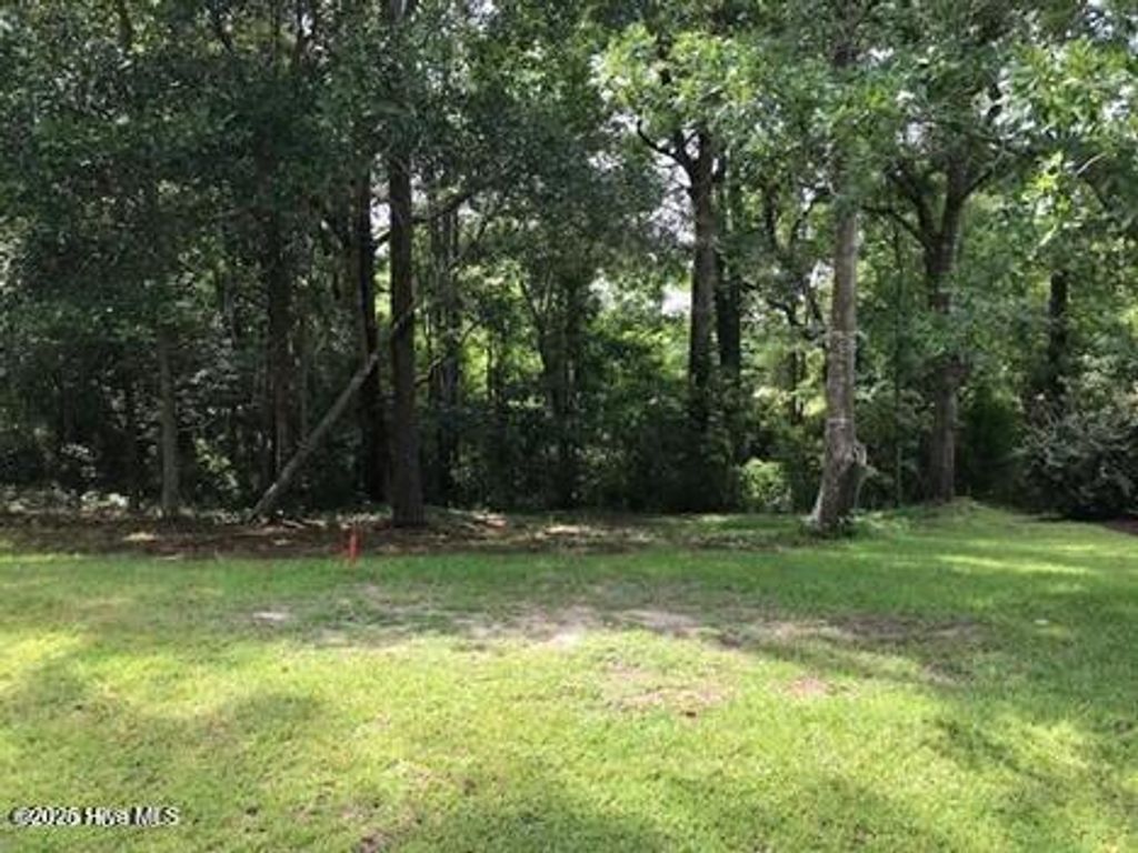 Photo of 1191 Woodbridge Lane SE, Bolivia, NC 28422 (MLS # 100521046)