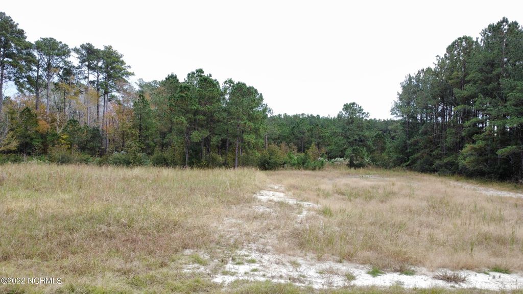 Photo of 136 Garbacon Drive Drive, Beaufort, NC 28516 (MLS # 100360572)