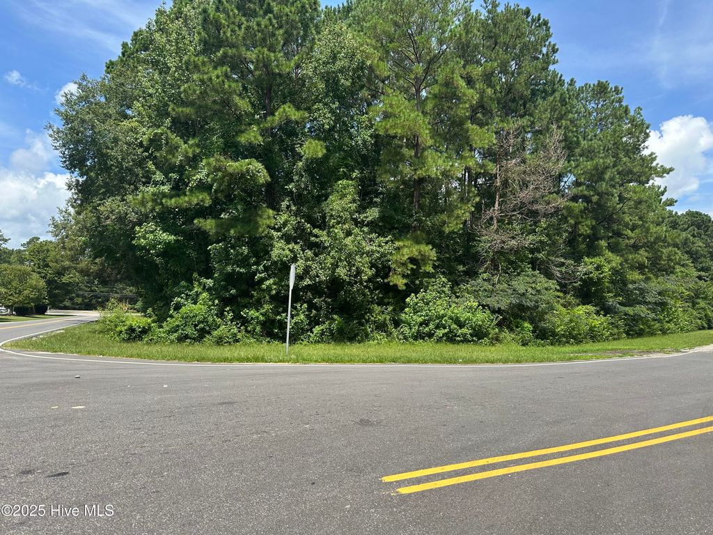 Photo of 102 Warrior Trail, Whiteville, NC 28472 (MLS # 100520037)