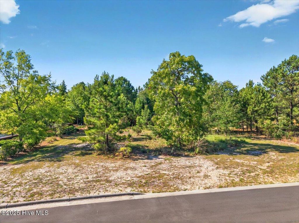 Photo of 3013 Arundel Hill SW, Shallotte, NC 28470 (MLS # 100509625)