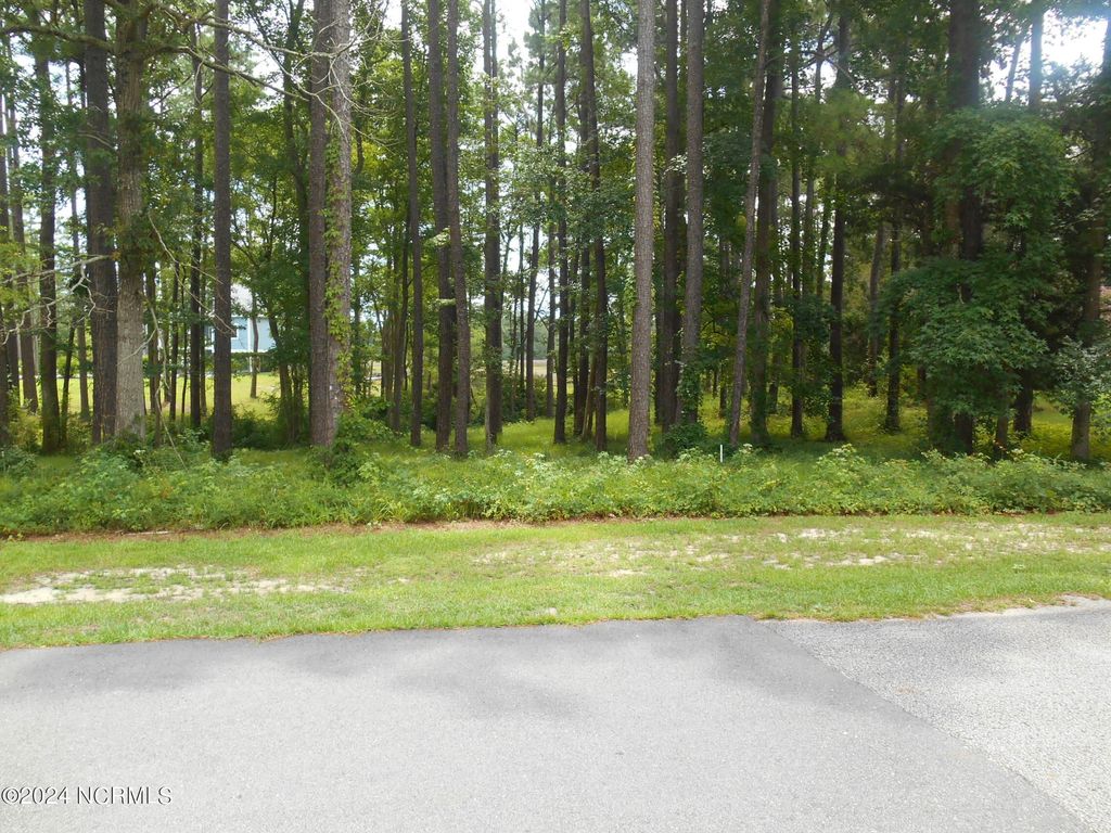 Photo of 6491 Walden Pond Lane, Southport, NC 28461 (MLS # 100399690)