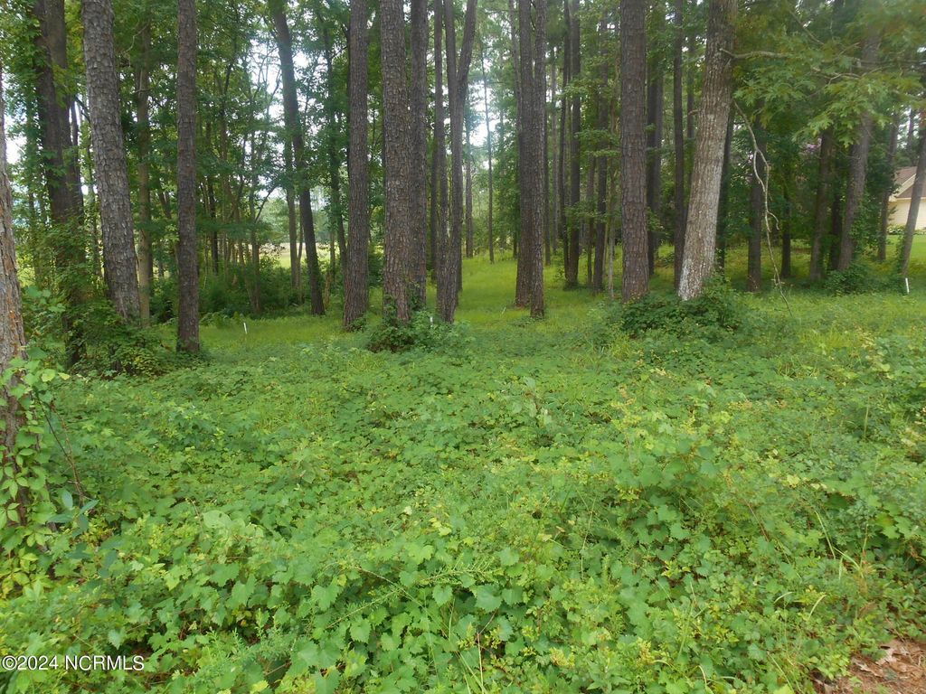 Photo of 6491 Walden Pond Lane, Southport, NC 28461 (MLS # 100399690)