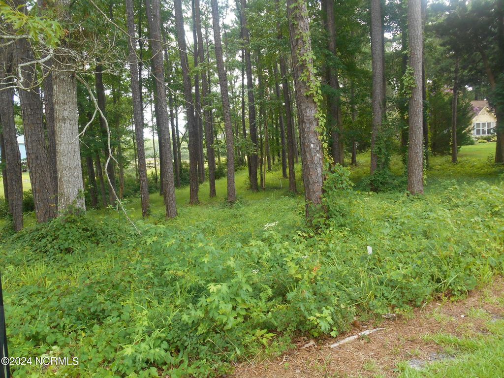 Photo of 6491 Walden Pond Lane, Southport, NC 28461 (MLS # 100399690)
