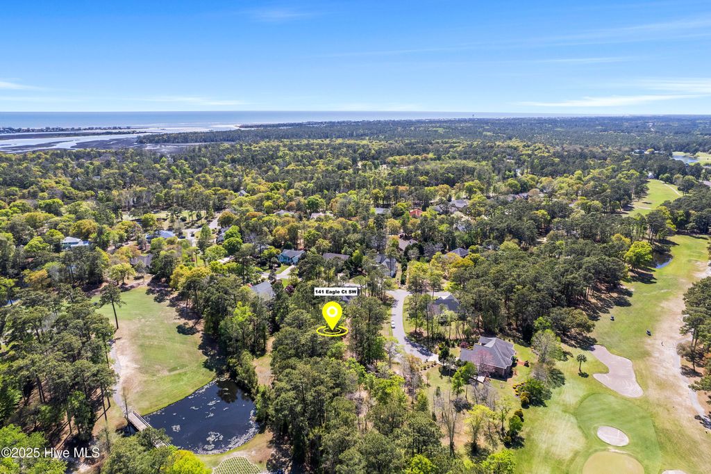 Photo of 141 Eagle Court SW, Supply, NC 28462 (MLS # 100502128)