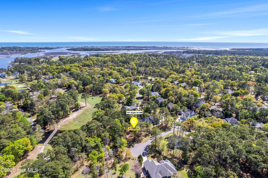 Photo of 141 Eagle Court SW, Supply, NC 28462 (MLS # 100502128)
