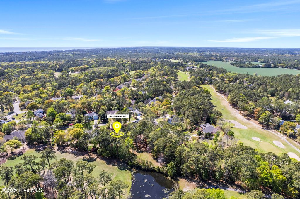 Photo of 141 Eagle Court SW, Supply, NC 28462 (MLS # 100502128)