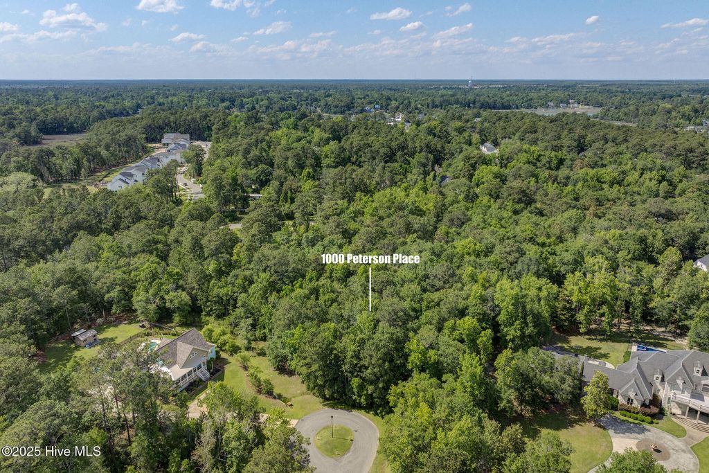 Photo of 1000 Peterson Place, Wilmington, NC 28411 (MLS # 100510546)