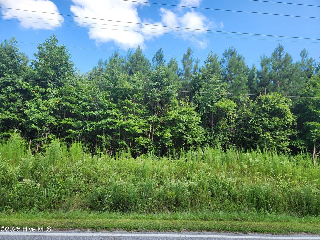 Photo of 0 Us-158 Bus, Gatesville, NC 27938 (MLS # 100532383)