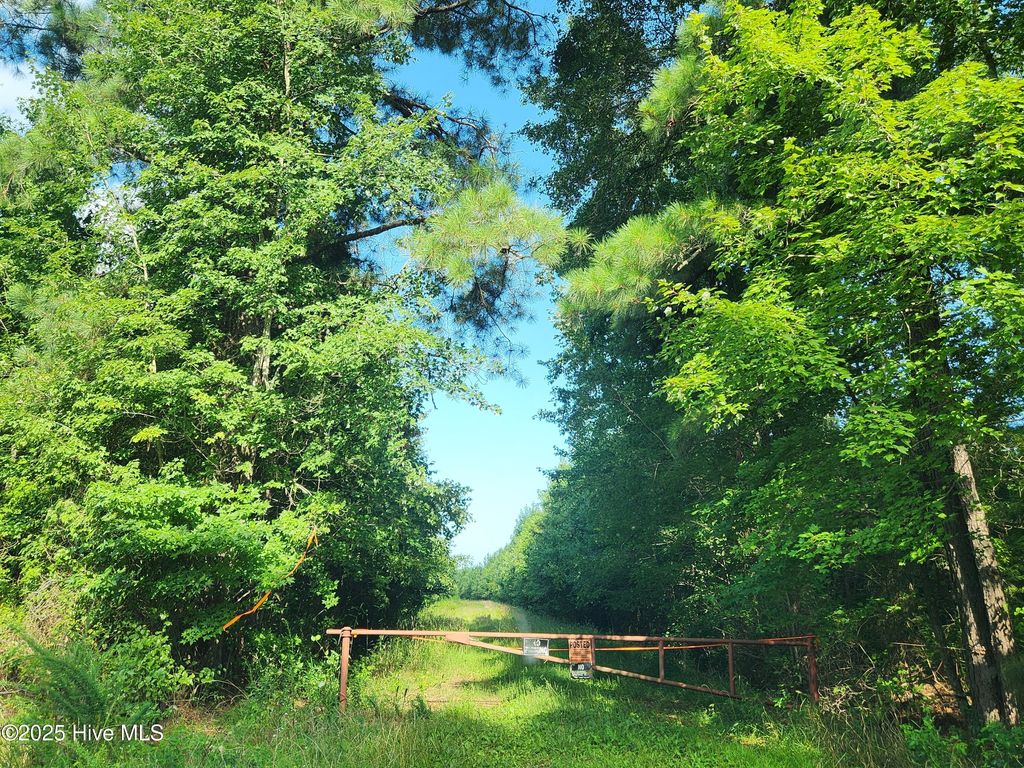 Photo of 0 Us-158 Bus, Gatesville, NC 27938 (MLS # 100532383)