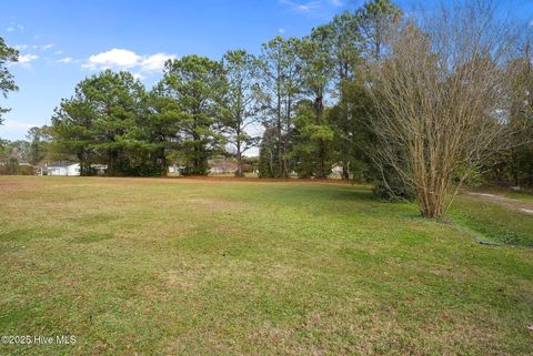 Tiny photo for 286 Horizon Lane, Jacksonville, NC 28540 (MLS # 100543301)