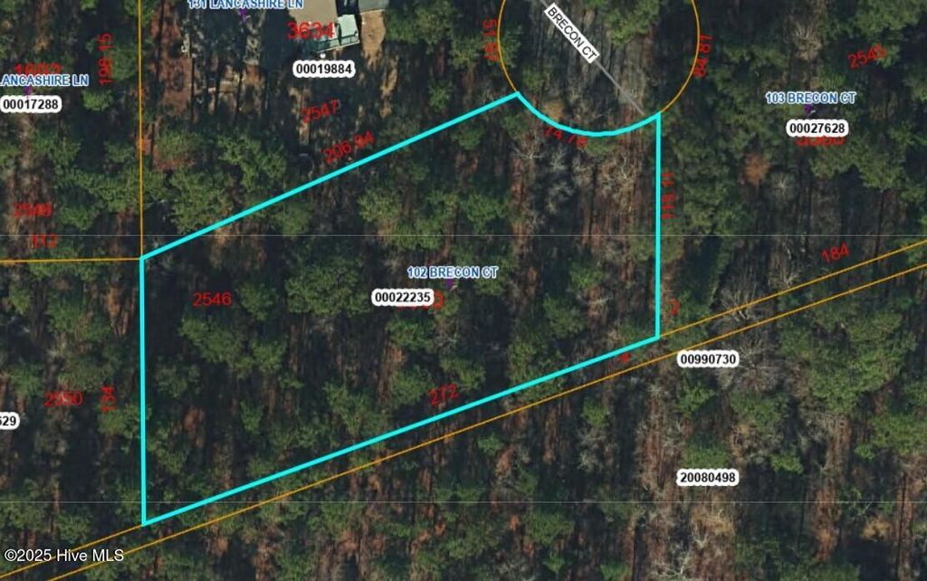 Photo of 102 Brecon Court, West End, NC 27376 (MLS # 100539134)