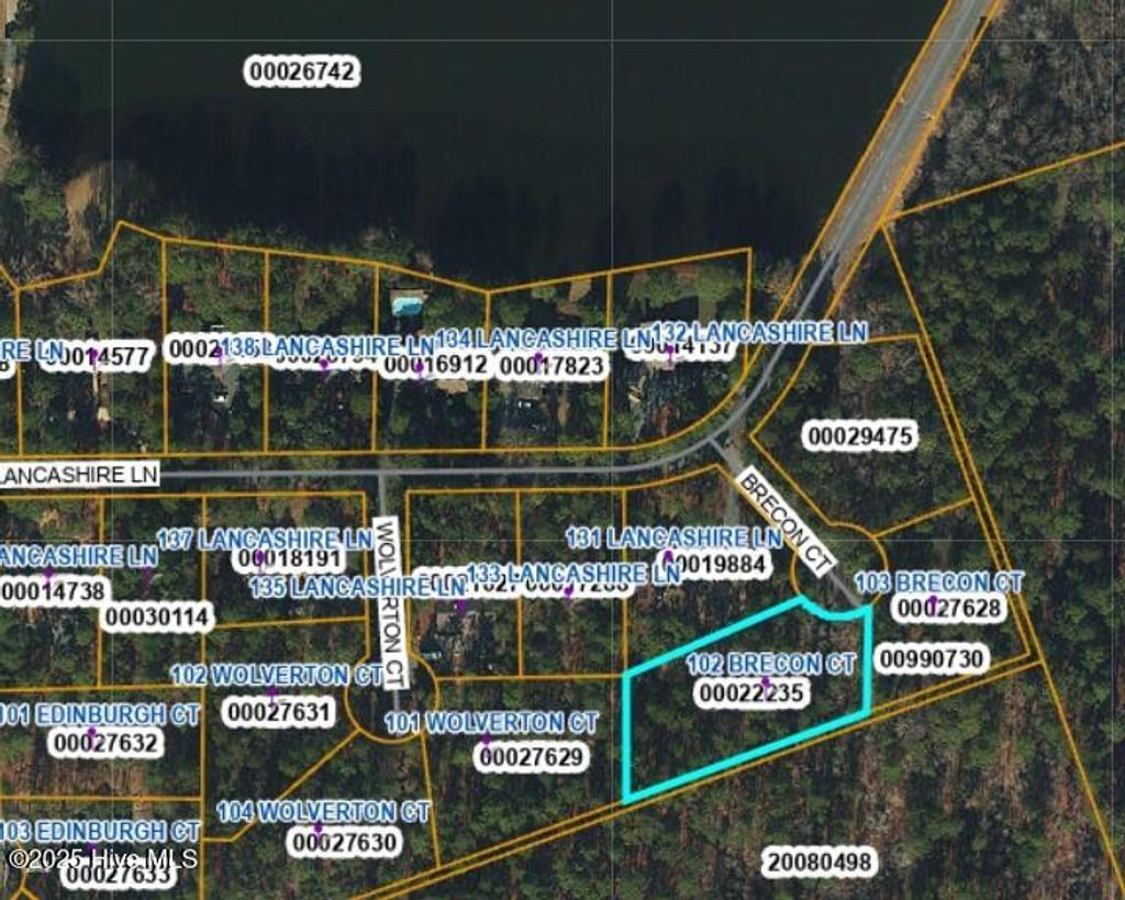 Photo of 102 Brecon Court, West End, NC 27376 (MLS # 100539134)