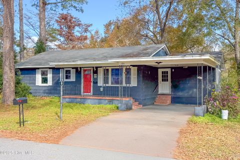 101 E Trent Street Trenton NC 28585