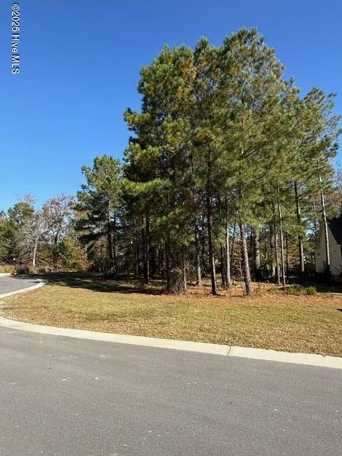 Photo of 4063 Bay Colony Road NE, Leland, NC 28451 (MLS # 100541631)