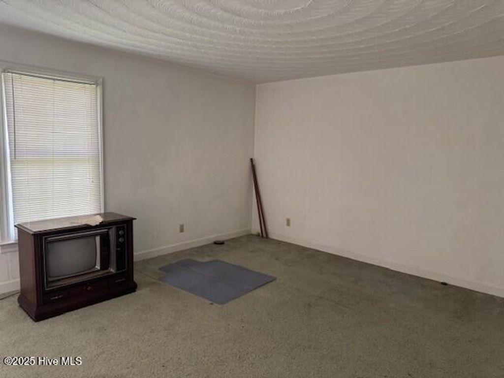 Photo of 124 Albemarle Drive Drive, Ahoskie, NC 27910 (MLS # 100518976)