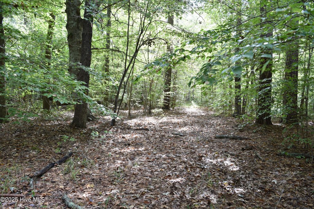 Photo of Tbd Sand Hills Road, Camden, NC 27921 (MLS # 100539093)