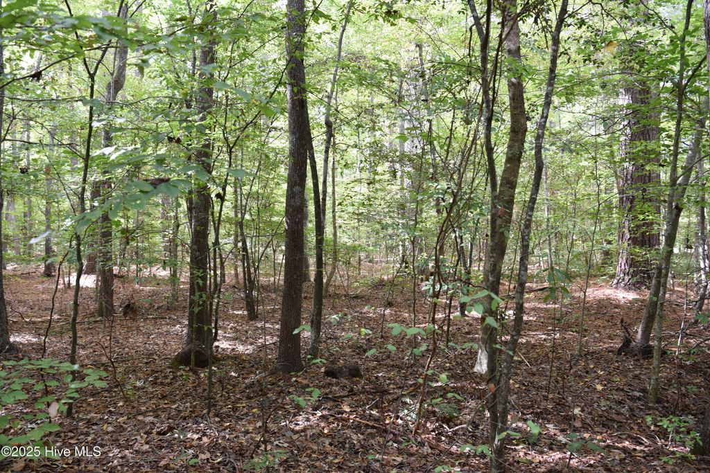 Photo of Tbd Sand Hills Road, Camden, NC 27921 (MLS # 100539093)