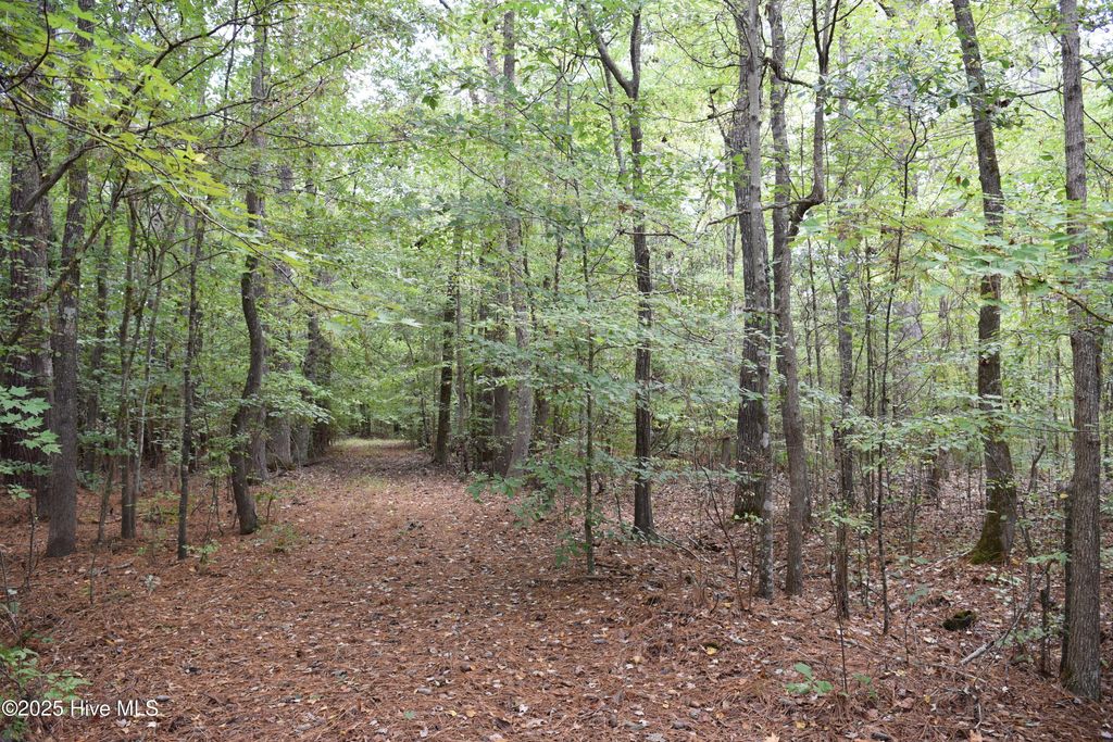Photo of Tbd Sand Hills Road, Camden, NC 27921 (MLS # 100539093)