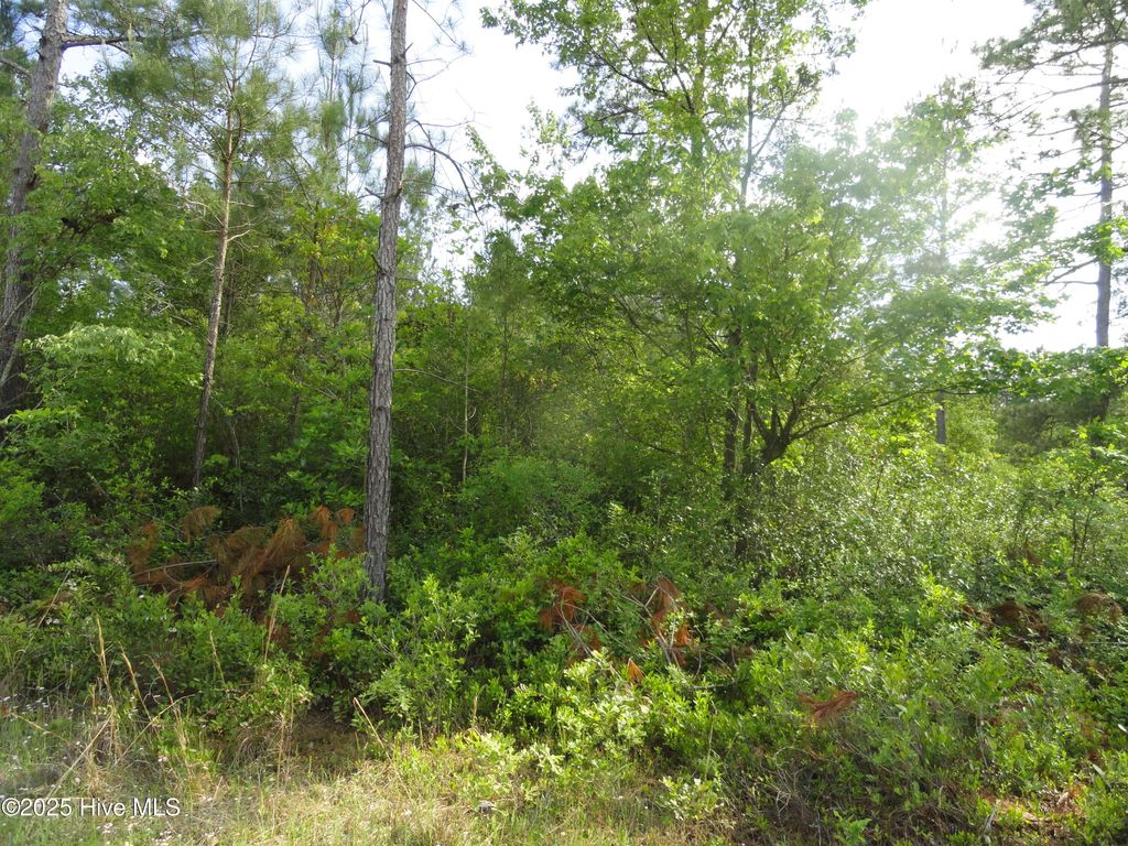 Photo of 3 River Trail, Burgaw, NC 28425 (MLS # 100514614)