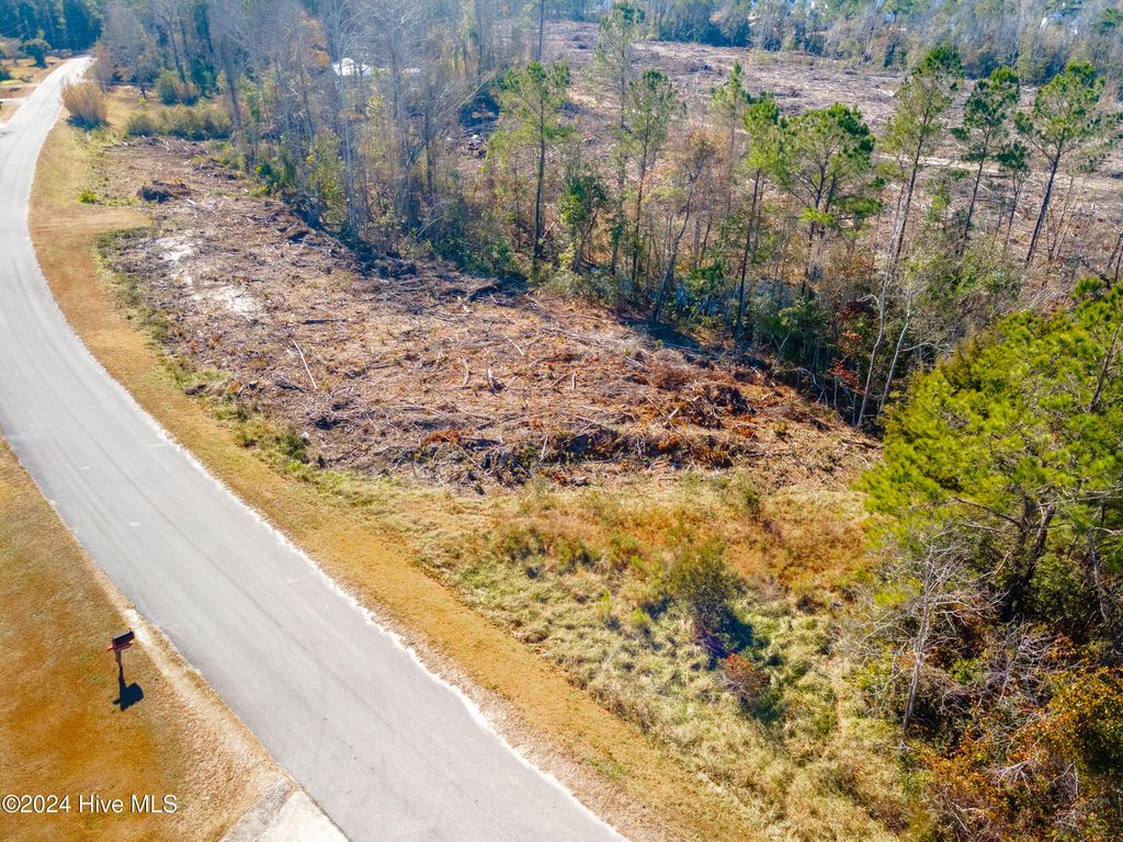 Photo of 1550 Jumpin Run Road, Hubert, NC 28539 (MLS # 100481143)